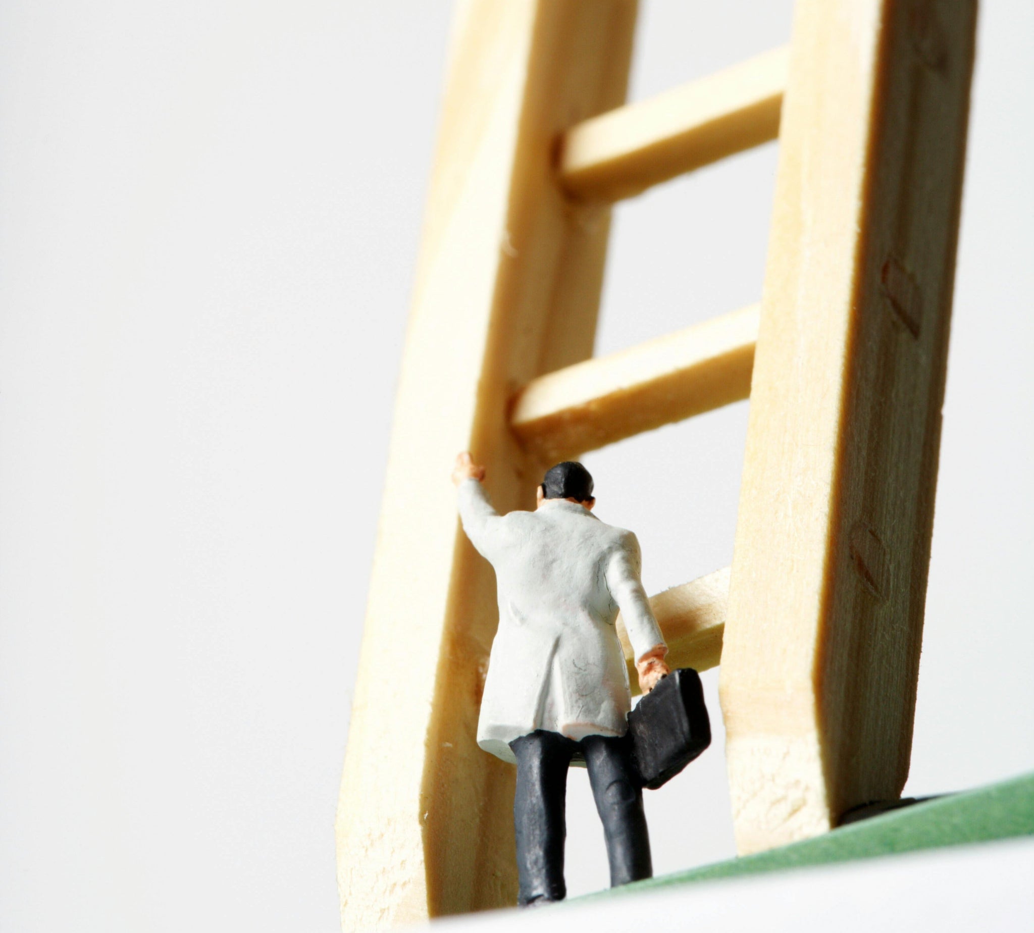 Future-Proof Your Career: Essential Strategies for Sustainable Success